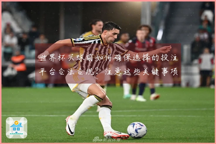 世界杯买球前如何确保选择的投注平台合法合规？注意这些关键事项！