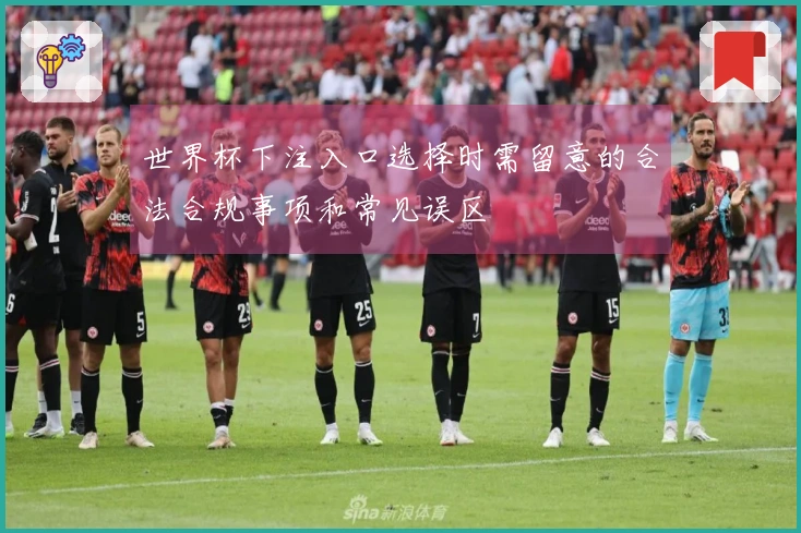 世界杯下注入口选择时需留意的合法合规事项和常见误区