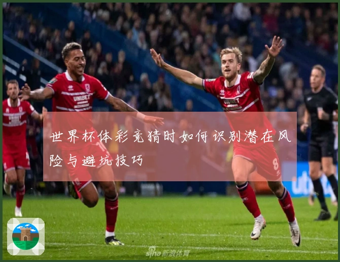 世界杯体彩竞猜时如何识别潜在风险与避坑技巧