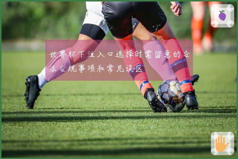世界杯下注入口选择时需留意的合法合规事项和常见误区