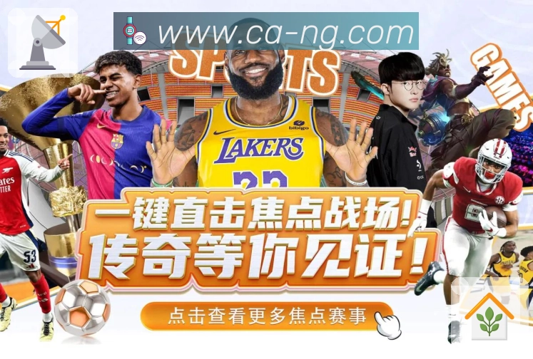 奖项证书